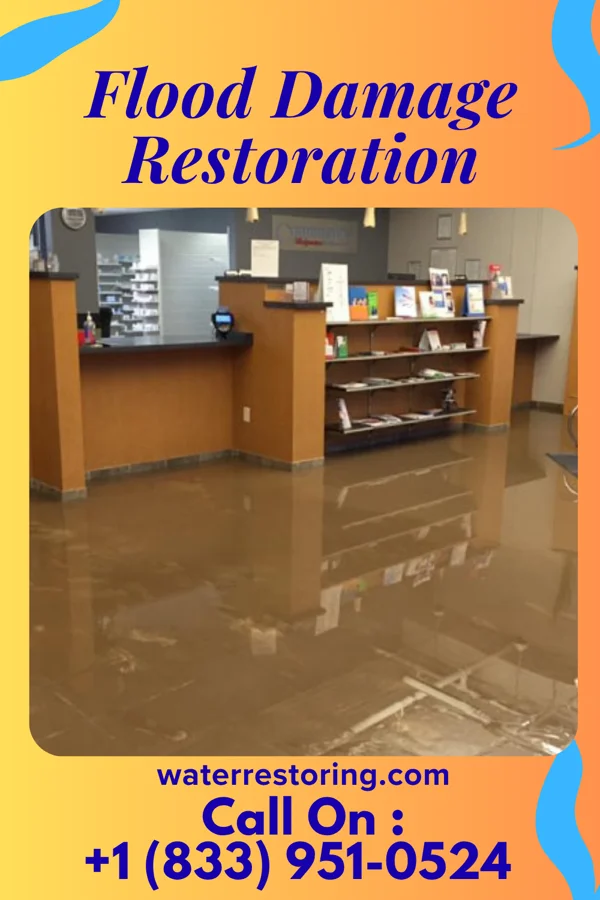 Flood Damage Restoration in Protivin, IA