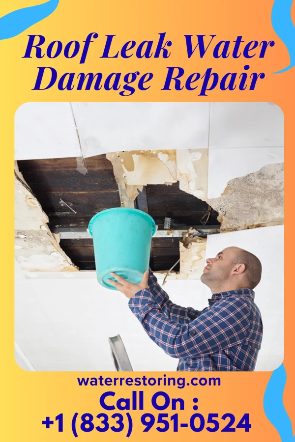 Roof Leak Water Damage Repair in Protivin, IA