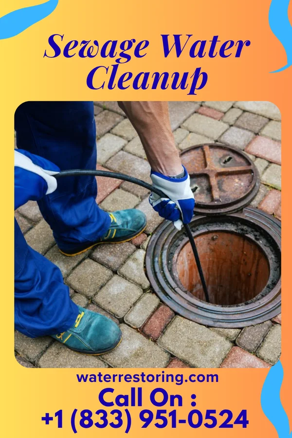 Sewage Water Cleanup in Protivin, IA