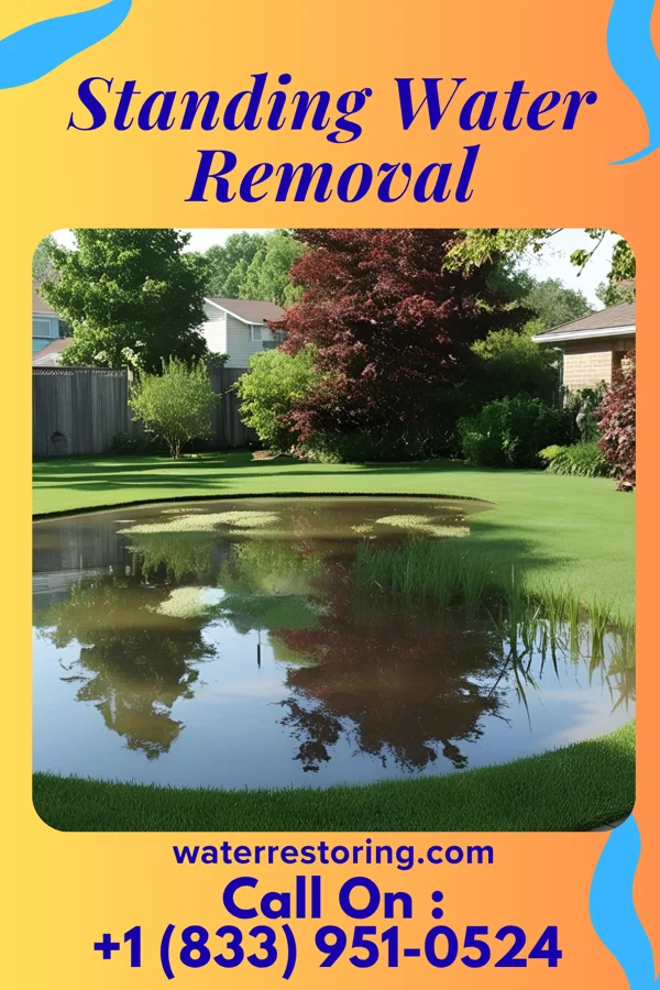 Standing Water Removal in Protivin, IA